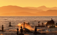 Cairns1920x12005-12-2011 10_55_04 AM Bing Desktop